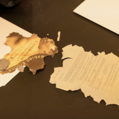 Visite guidée avec fernando belote