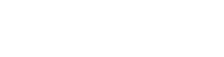 Partner 6